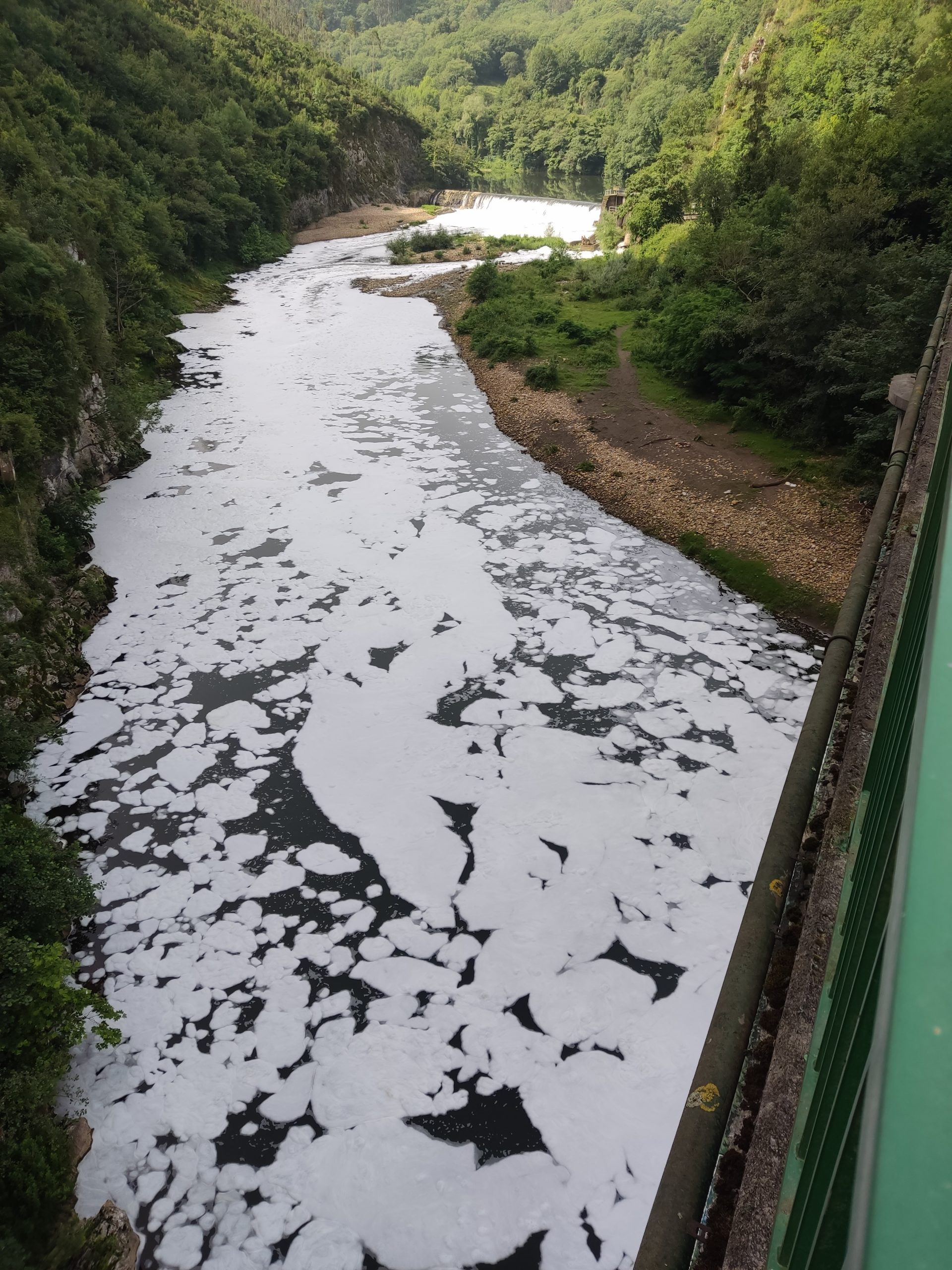 El río Nalón baja completamente blanco por Oviedo