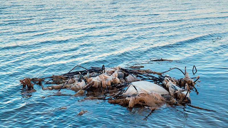 El acuífero del Campo de Cartagena y el Mar Menor