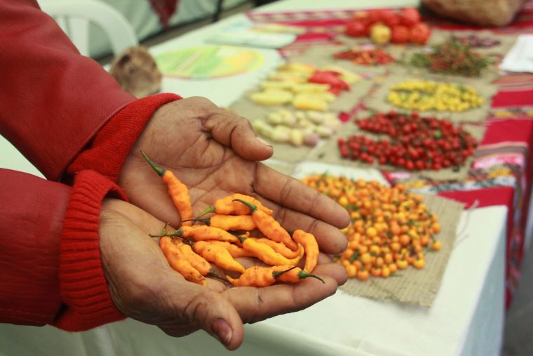 Perú 'guardian’ de la agrobiodiversidad