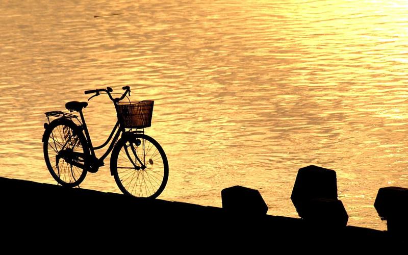 Día Mundial de la Bicicleta 2022