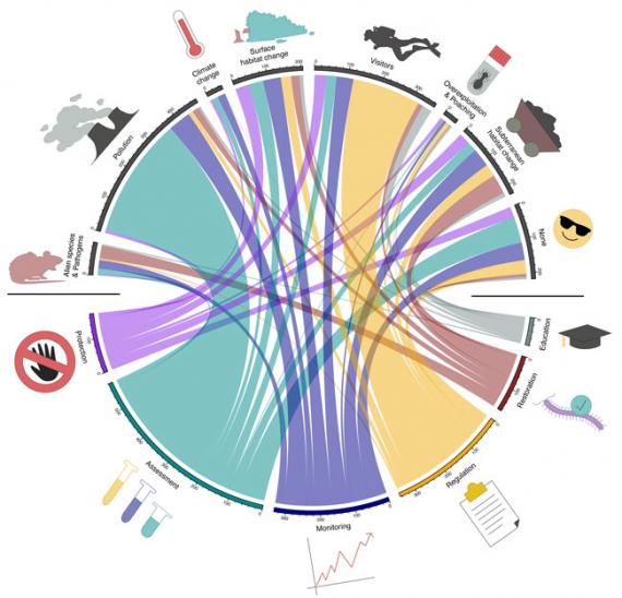 Biodiversidad subterránea, 'la gran olvidada'