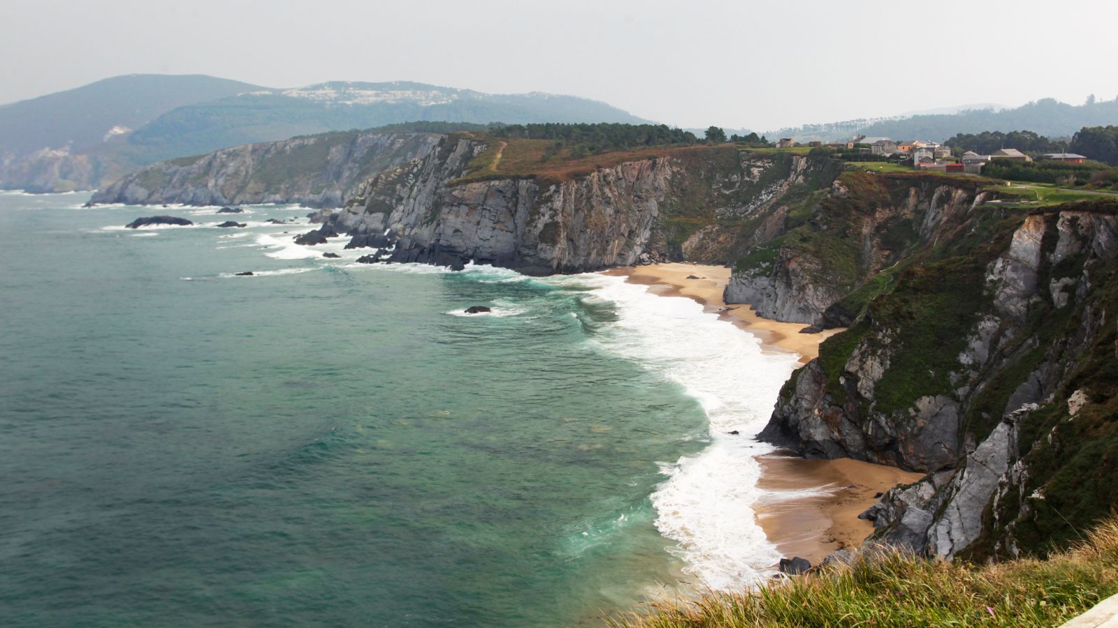 Las CCAA reciben fondos para la protección de la biodiversidad marina
