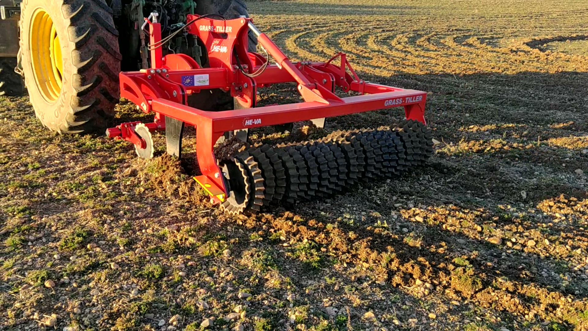 Buscan reavivar la dehesa con prácticas de agricultura regenerativa