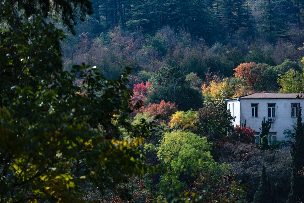 Protege tu urbanización de los incendios forestales