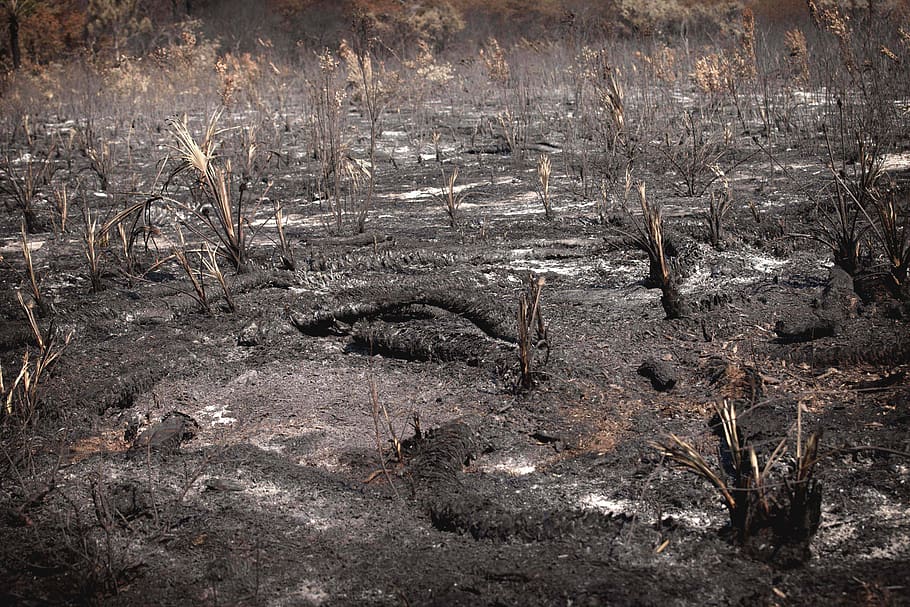 Los grandes incendios forestales la asignatura pendiente de España
