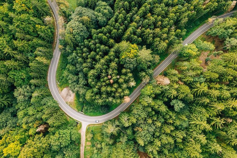 Propuestas de SEO/BirdLife para la presidencia de la UE