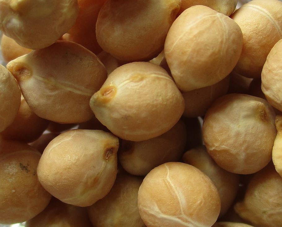 Hummus ecológico con nueces o picante