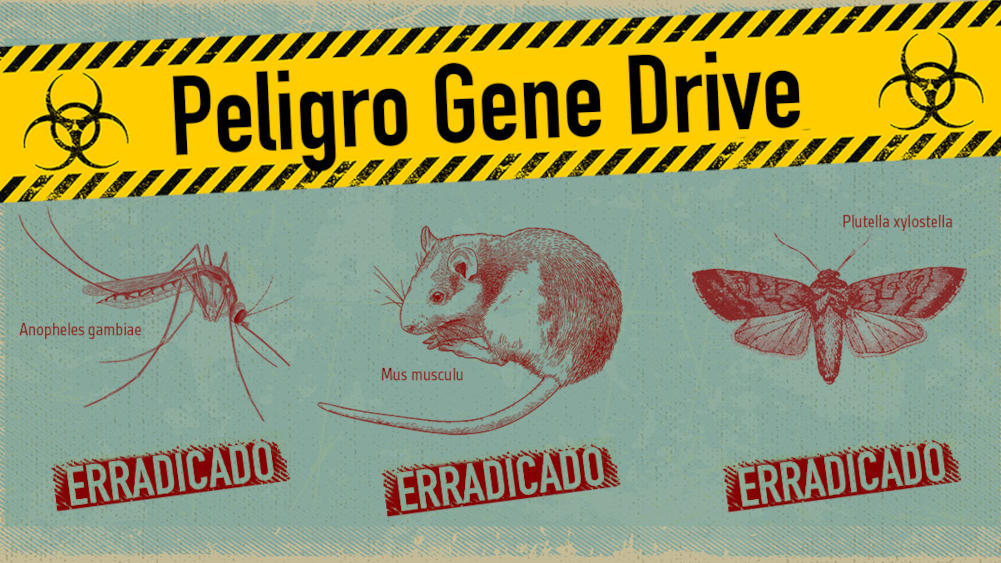 liberación de organismos con impulsores genéticos