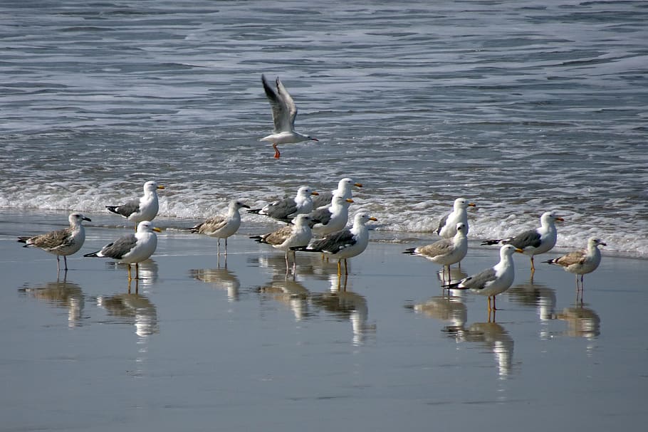 Actuaciones en las ramblas de las cuencas del Mar Menor