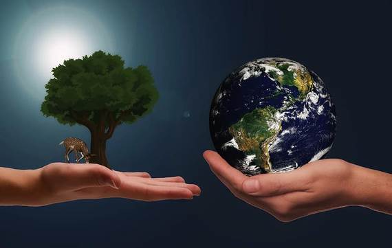 Master en Gestión Medioambiental y Sostenibilidad (Madrid)