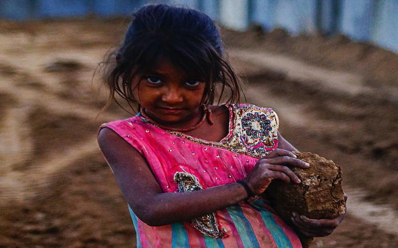 Escándalo: aceites vegetales para combustible