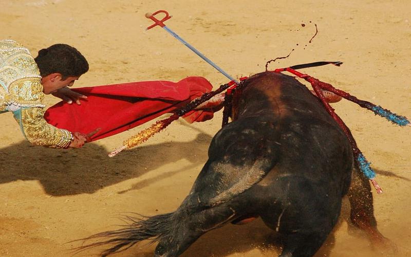 Día Mundial Antitaurino 2022