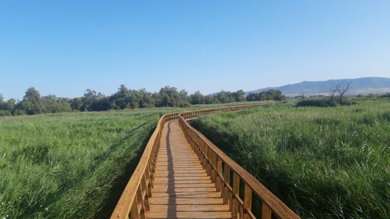 Actuaciones en el Parque Nacional Tablas de Daimiel