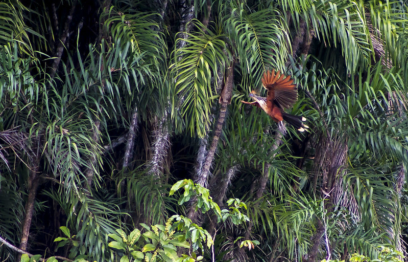 Áreas Protegidas y Conservadas LAC 2022