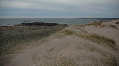 Cambios en los ecosistemas acuáticos de la Patagonia
