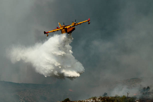 Los incendios forestales en el Mediterráneo se multiplican.