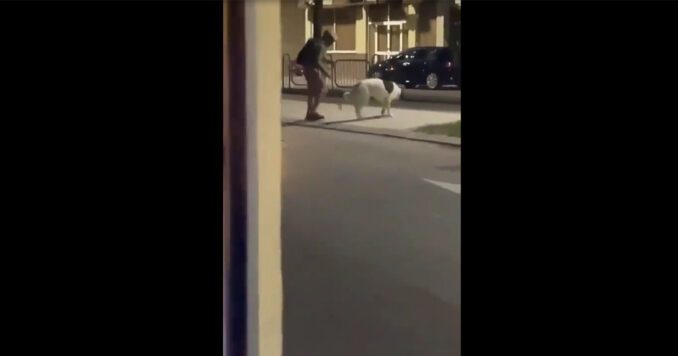 Palizas y latigazos a su mastina