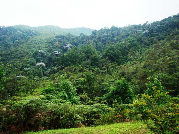 Parque Nacional Natural Farallones de Cali.