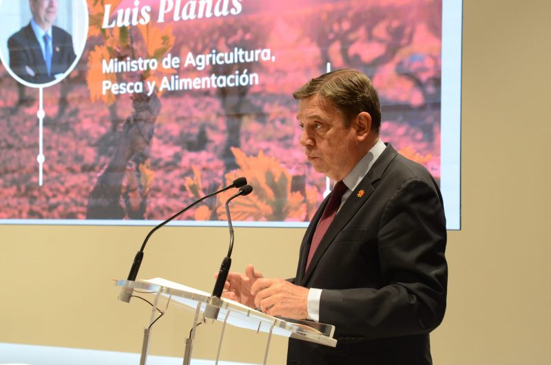 Sostenibilidad para los vinos españoles