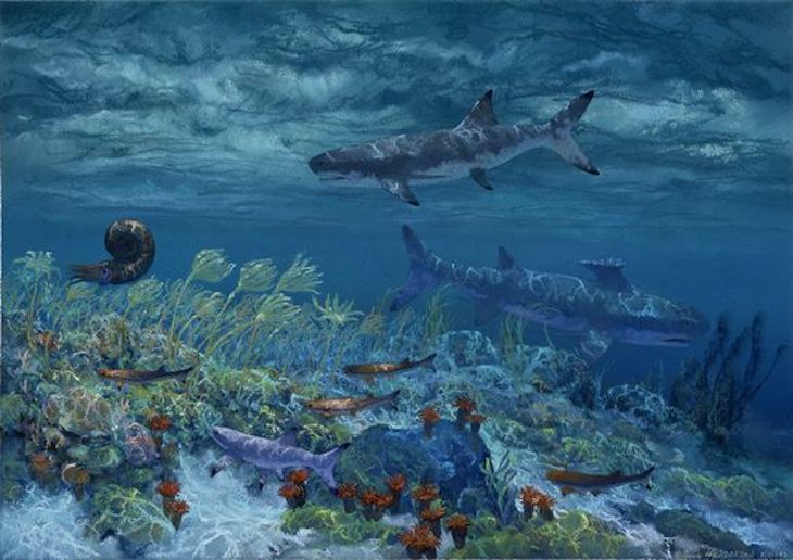 Todo sobre la explosión de la biodiversidad en los océanos.