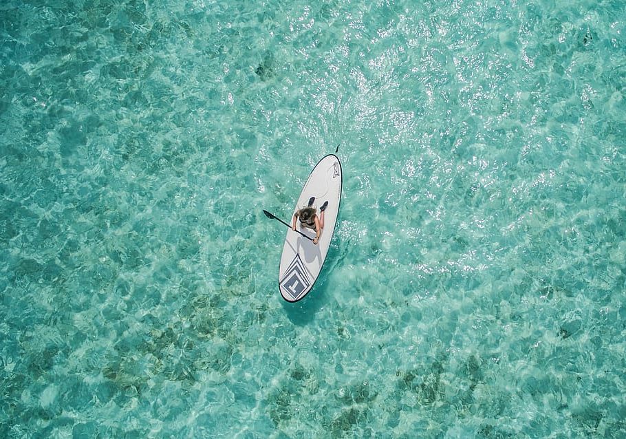 Ecoturismo responsable en el mar