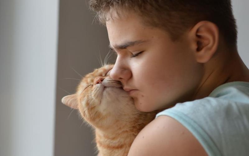 ¿Soy el humano de mi gato?