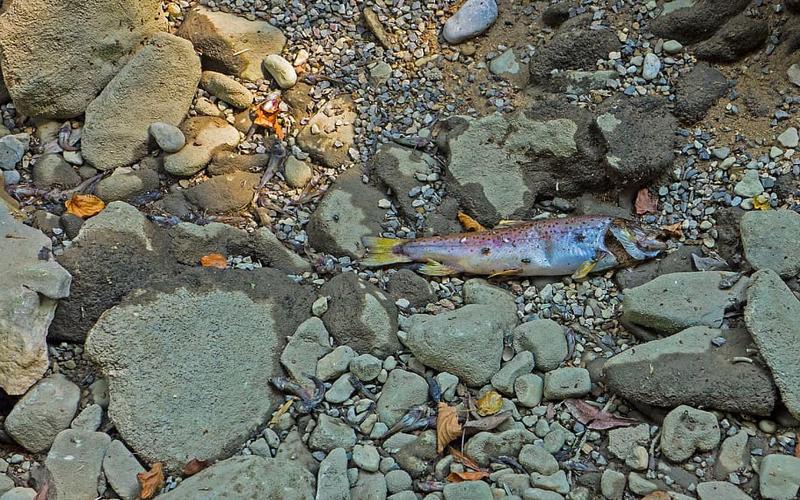 Reservas de agua bajo mínimos