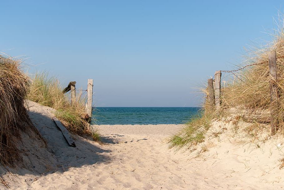 Ecoturismo responsable en el mar