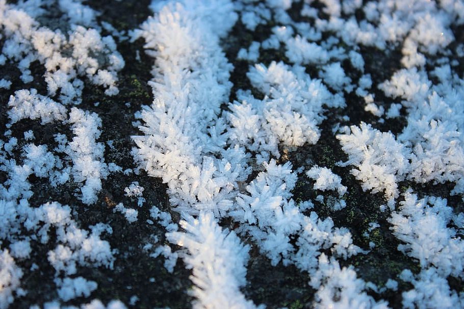 Permafrost de Mont Jacques-Cartier en peligro