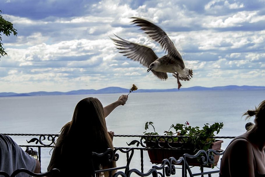 Ecoturismo responsable en el mar