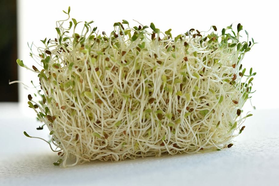 3 superalimentos que quizá no conocías