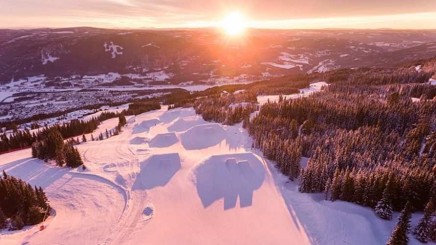 La flora ártica también afectada por el cambio climático