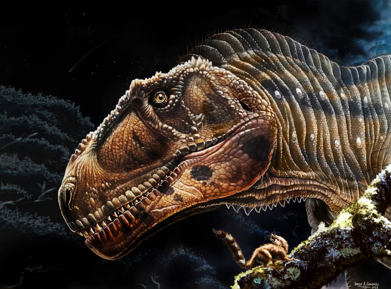 ‘Meraxes gigas’, el come-dinosaurios.