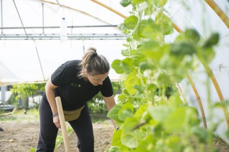 CPAEN/NNPEK consigue un centenar de altas.