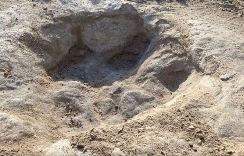 Sequía y dinosaurios en Texas