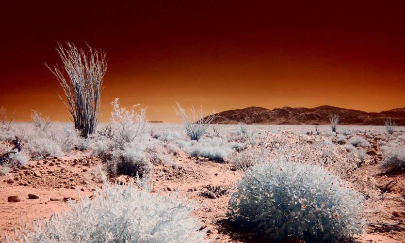 Ecosistemas áridos y el cambio climático