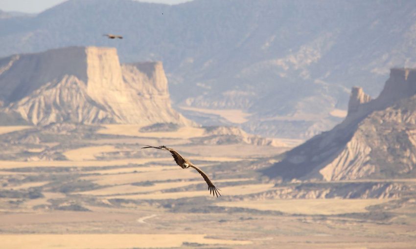 El turismo en áreas protegidas es una mala idea