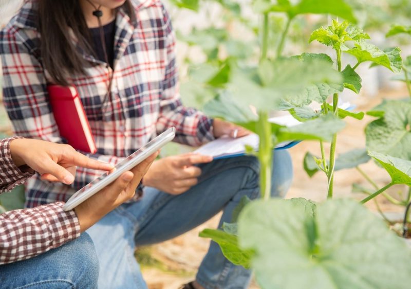 MAPA: Curso de emprendimiento en el medio rural