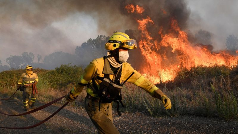 Negligencias, basureros y gamberrismo tras los incendios de Madrid
