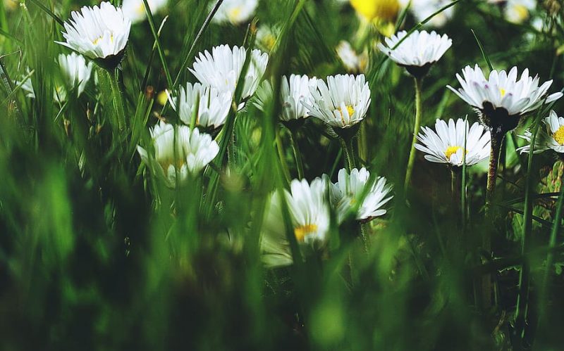 ONU: Derecho a un medio ambiente sano