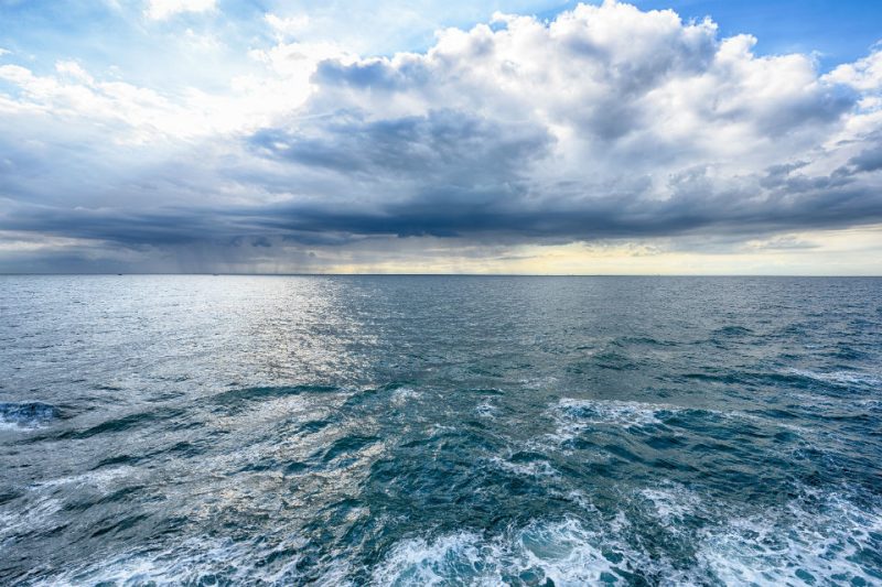 Papel mojado para la protección de los océanos