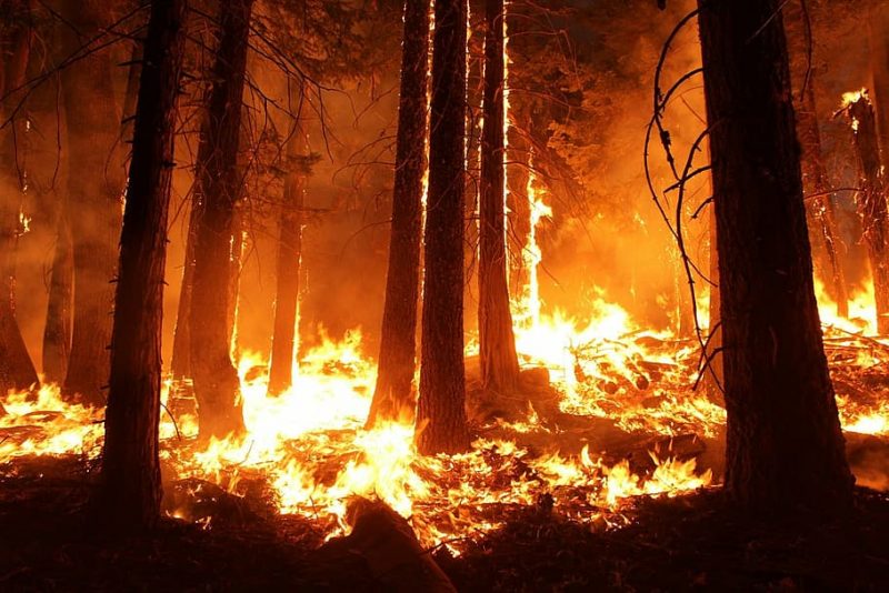 Por unas CCAA más capaces ante los incendios forestales