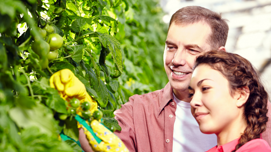 Subvenciones para formación de profesionales del medio rural