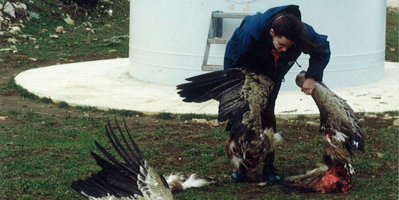 ¿Qué pasa en el Parque eólico “Tesorillo”?