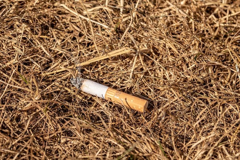 Basuraleza: incendios forestales