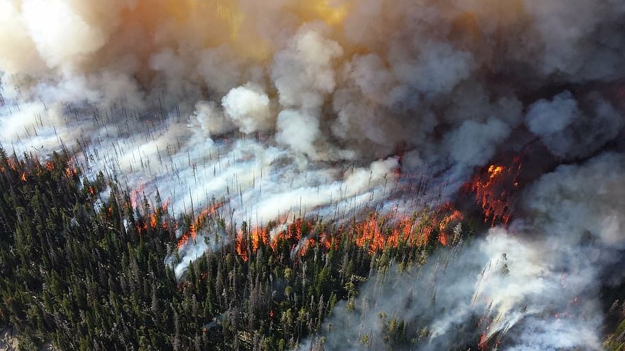 Día Mundial de la Prevención de Incendios Forestales 2022