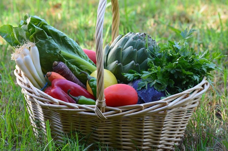 Fertilizantes alimentos ecológicos