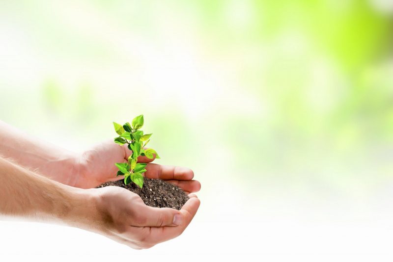 España hacia los fertilizantes en la economía circular