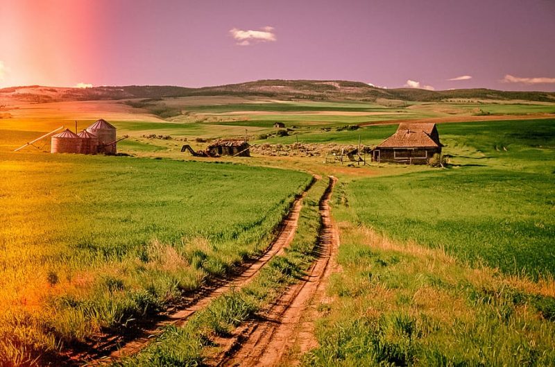 España no fomenta la transición agroecológica