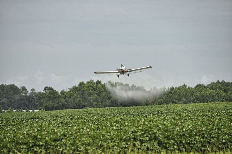 nitrógeno medio ambiente